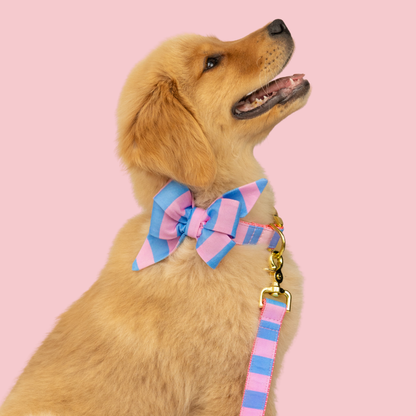 Alfresco Stripe Dog Leash