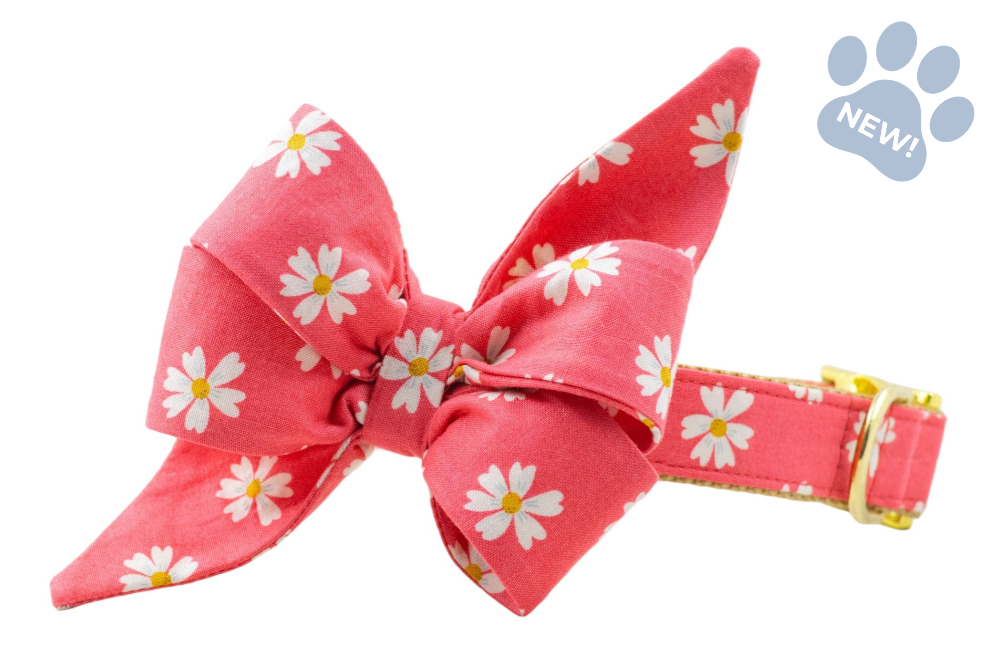 Coral Daisies Belle Bow Collar - Crew LaLa