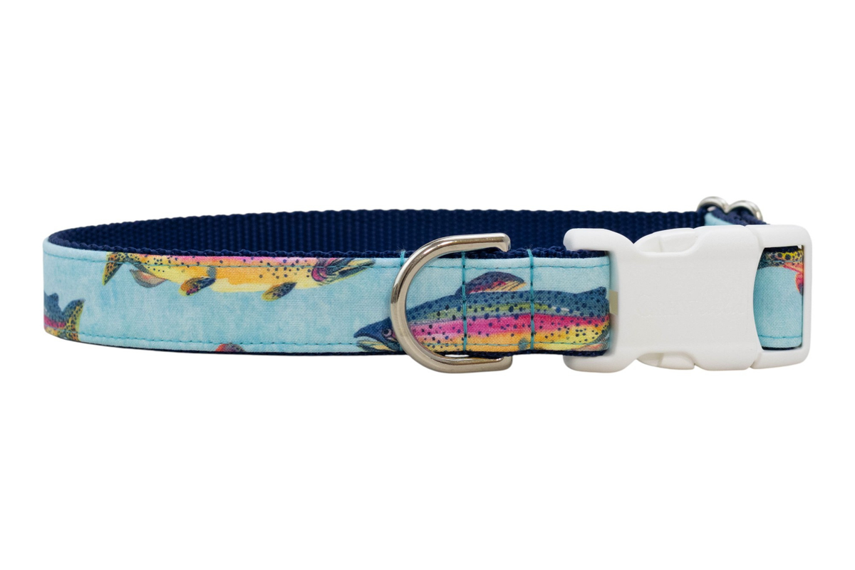 Colorful Catch Belle Bow Collar