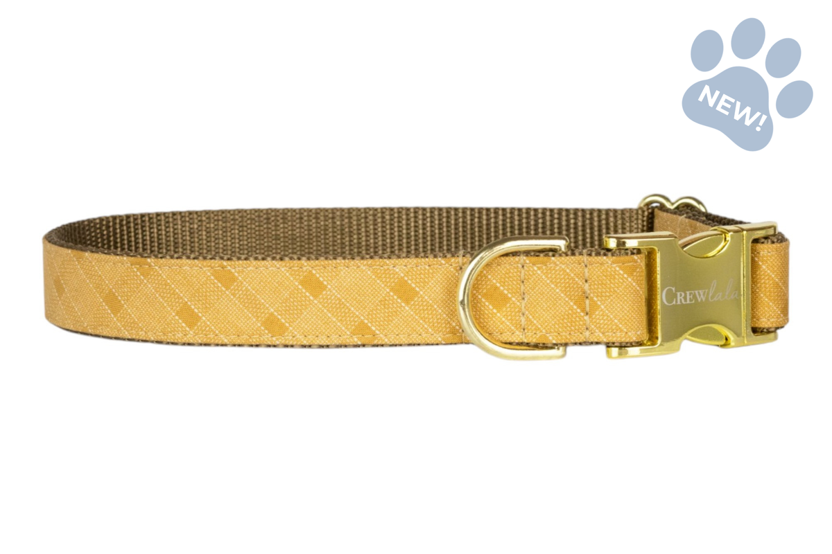 Old Gold Plaid Belle Bow Collar