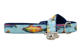 Colorful Catch Dog Leash