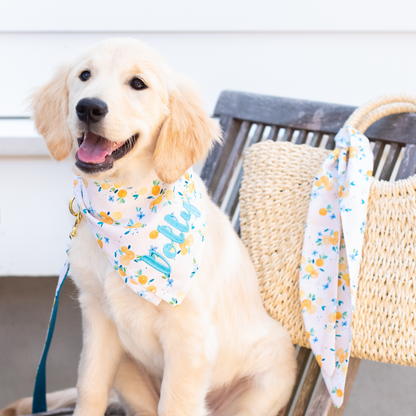 Sunday Brunch Dog Bandana - Crew LaLa