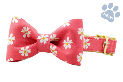 Coral Daisies Bow Tie Collar - Crew LaLa