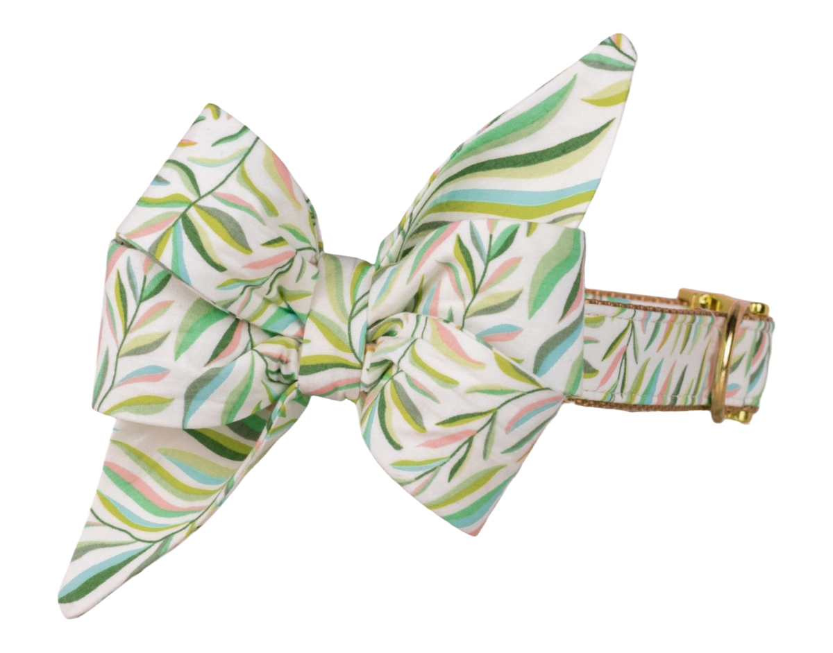 Tropic Time Belle Bow Collar