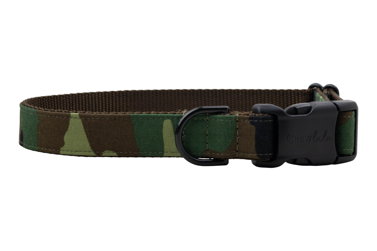 New Recruit Dog Collar