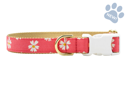Coral Daisies Dog Collar - Crew LaLa
