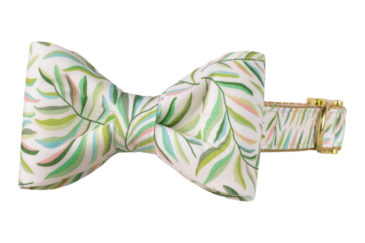 Tropic Time Bow Tie Collar