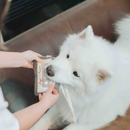 CASSETTE // ENRICHMENT DOG TOY // SNUFFLE TOY - Crew LaLa