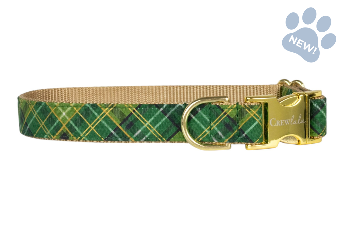 Golden Green Plaid Dog Collar