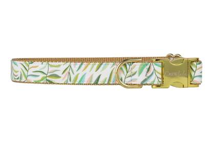 Tropic Time Belle Bow Collar
