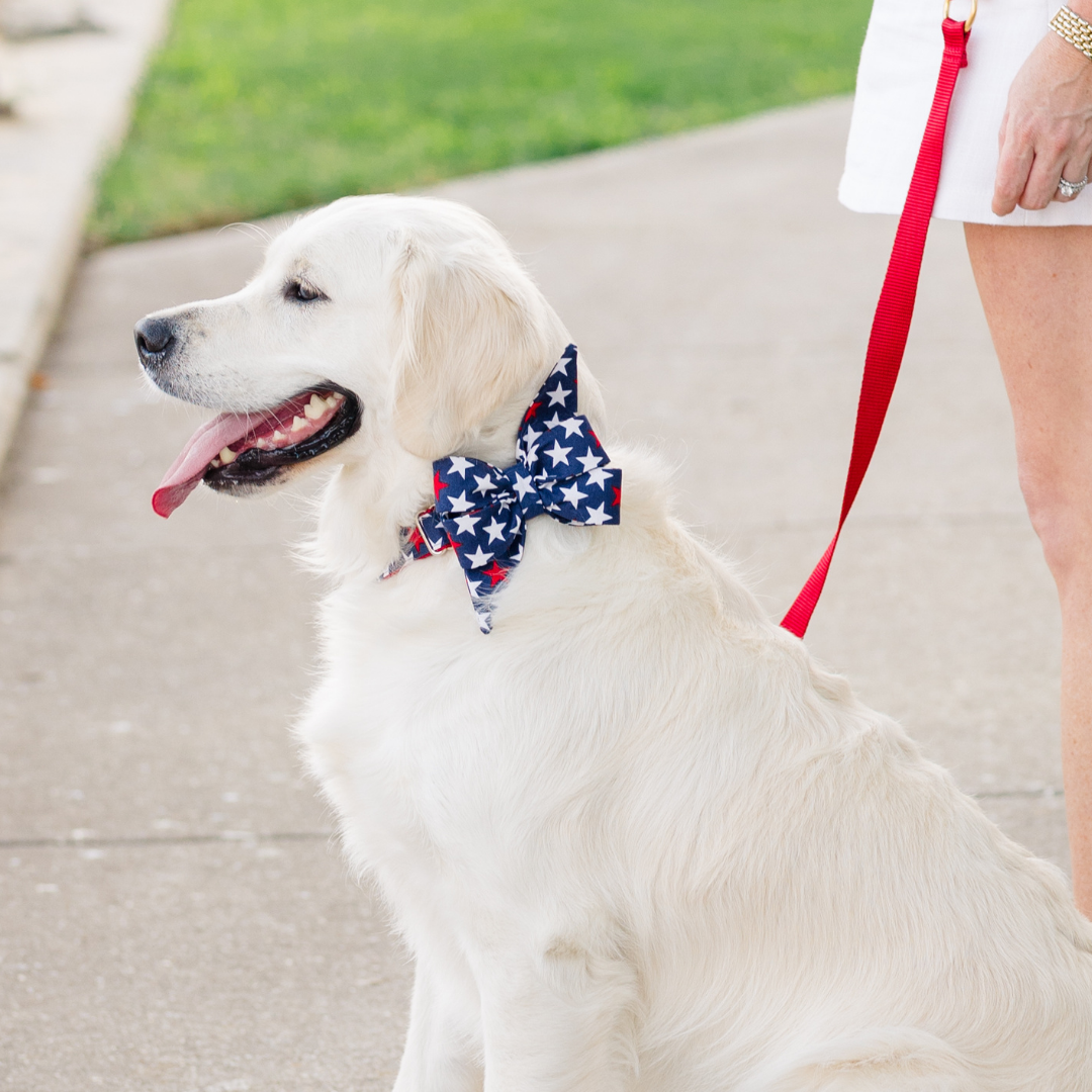Patriotic Stars Belle Bow Dog Collar - Crew LaLa