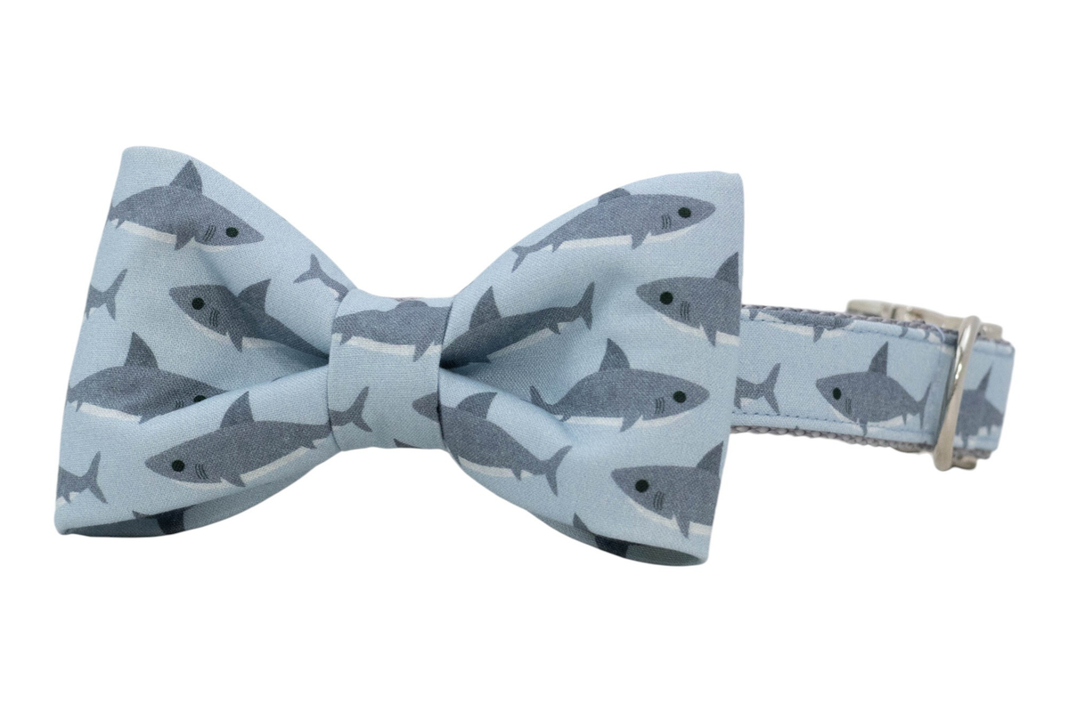 Shark Tails Bow Tie Collar