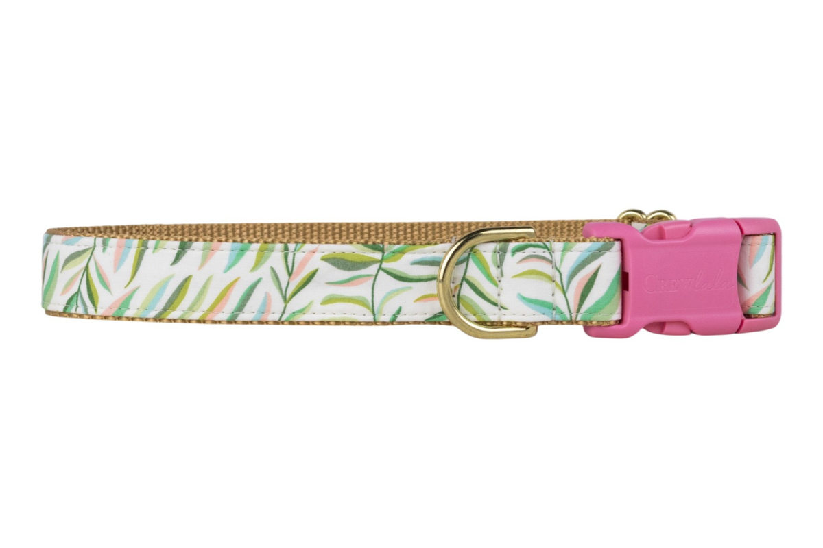Tropic Time Bow Tie Collar