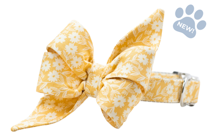 Sunny Stems Belle Bow Collar - Crew LaLa