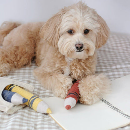 CRAYONS // ENRICHMENT DOG TOY // Squeaky + Snuffle Set - Crew LaLa