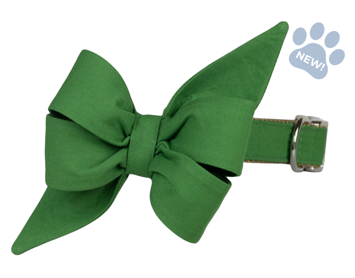 18th Green Belle Bow Dog Collar