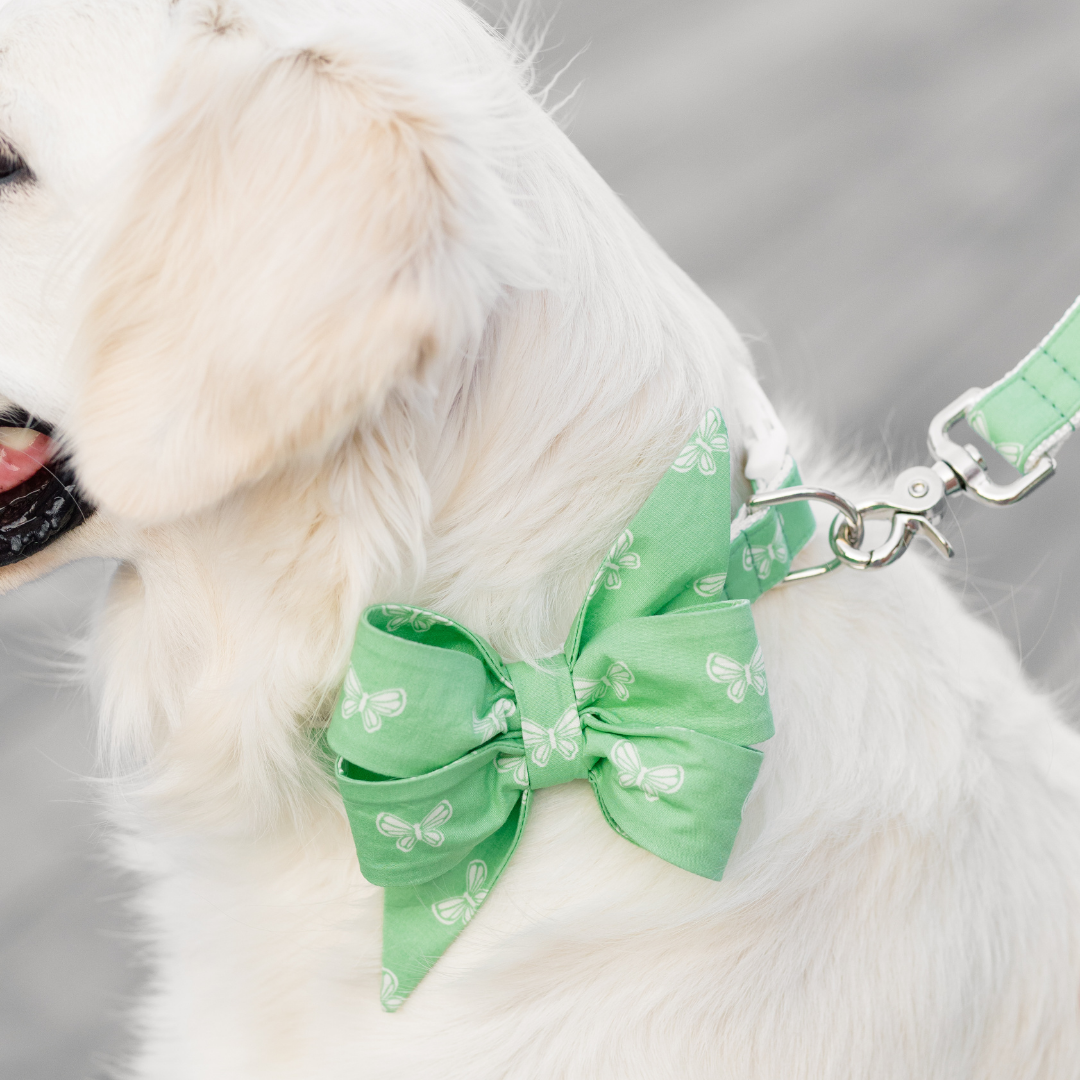Butterfly Fields Belle Bow Dog Collar - Crew LaLa