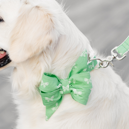 Butterfly Fields Belle Bow Dog Collar - Crew LaLa