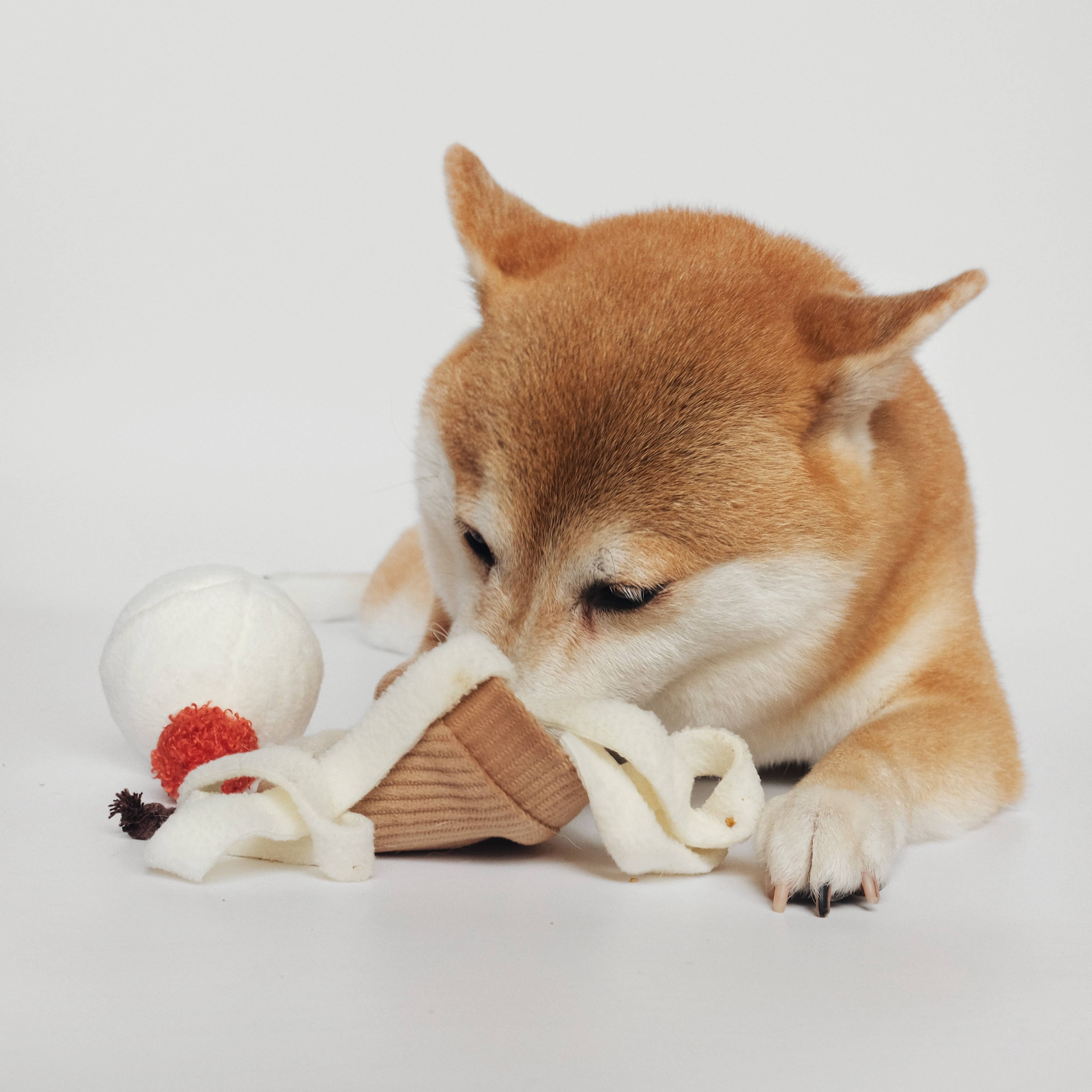 ICE CREAM POP // ENRICHMENT DOG TOY // Squeaky + Snuffle - Crew LaLa