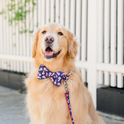 Ole Glory Bow Tie Dog Collar - Crew LaLa