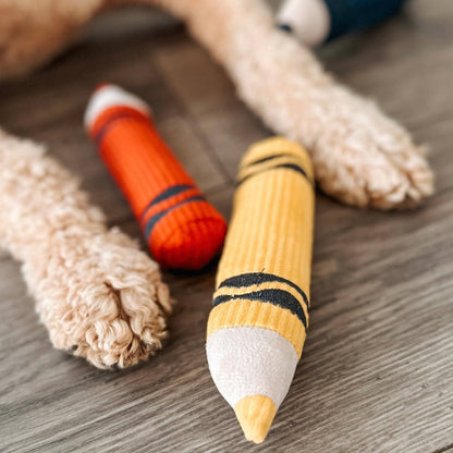 CRAYONS // ENRICHMENT DOG TOY // Squeaky + Snuffle Set - Crew LaLa
