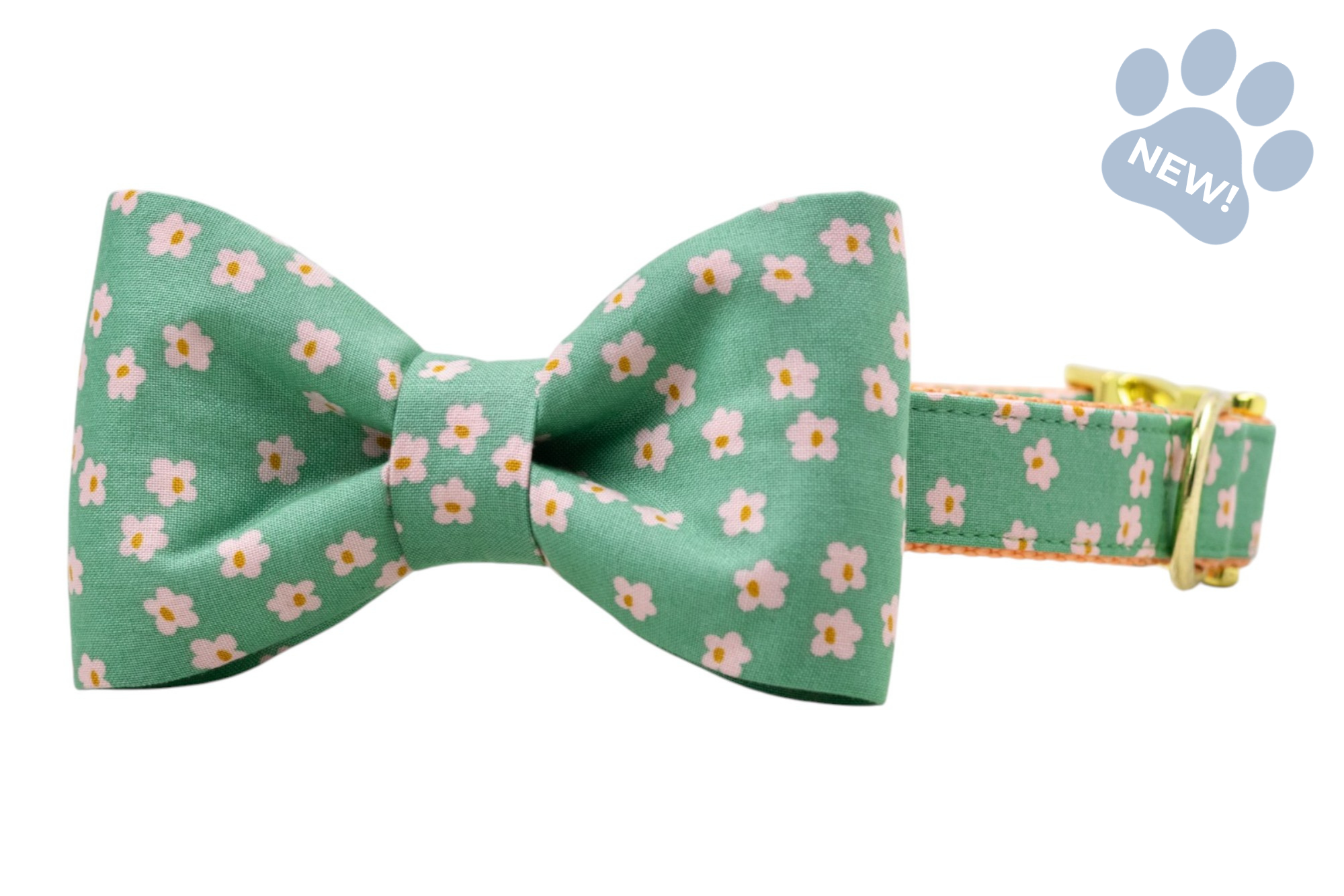 Glinda's Garden Bow Tie Collar - Crew LaLa