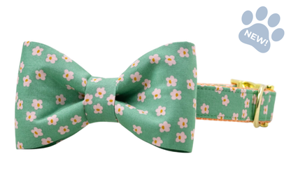 Glinda's Garden Bow Tie Collar - Crew LaLa