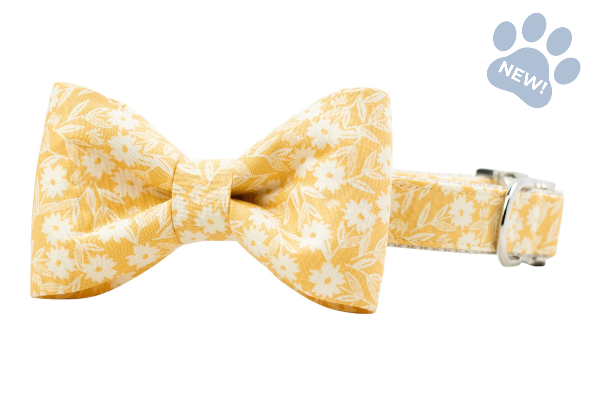 Sunny Stems Bow Tie Collar - Crew LaLa
