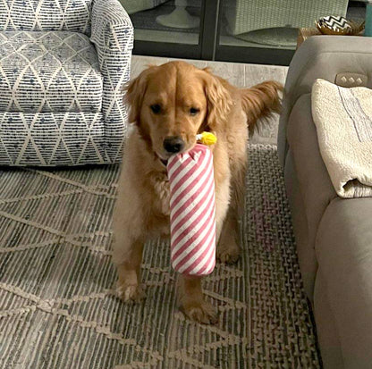 ThoozyPet Birthday Candle Pink Plush Dog Toy with Rope 16"
