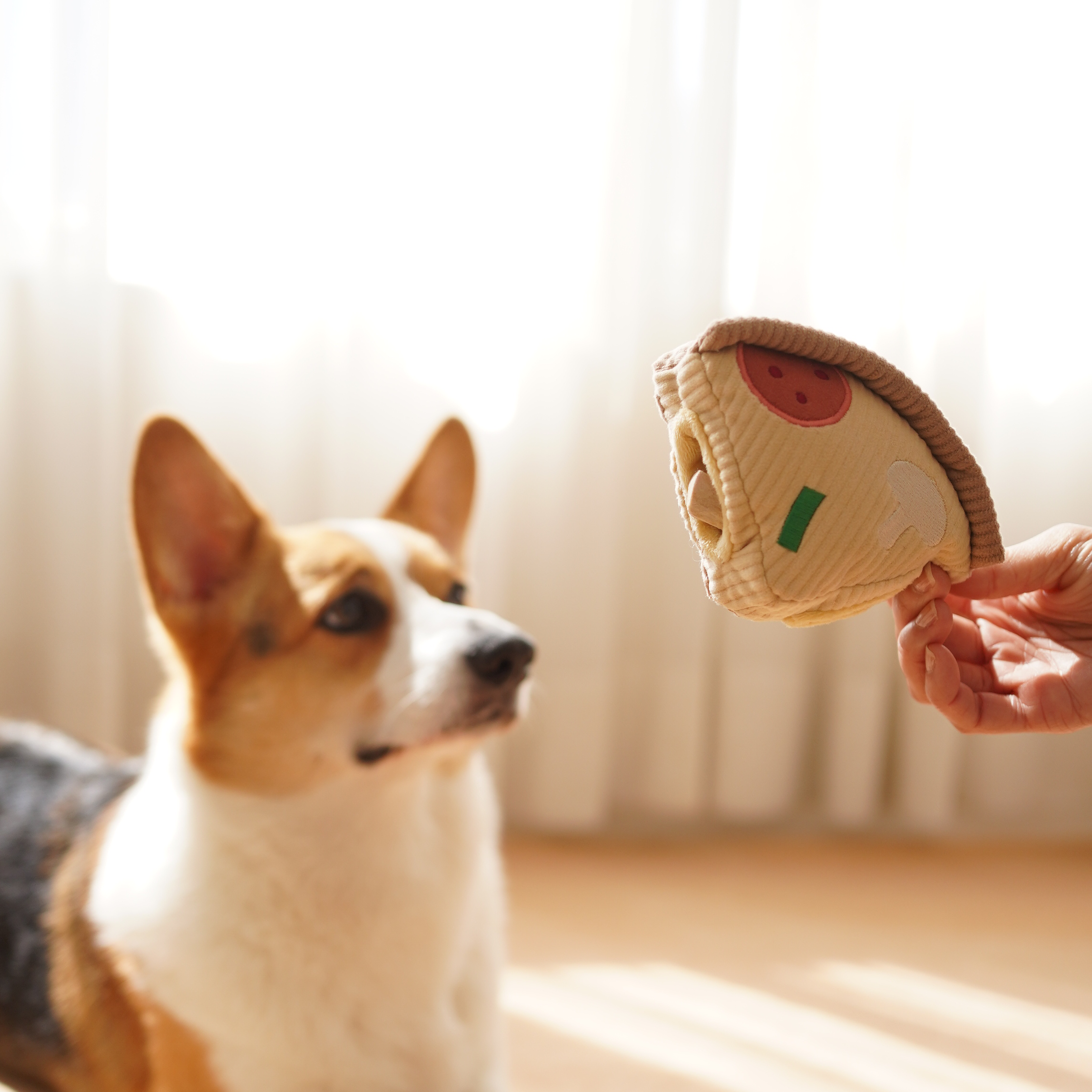 DEEP DISH PIZZA // ENRICHMENT DOG TOY // Squeaky + Snuffle - Crew LaLa