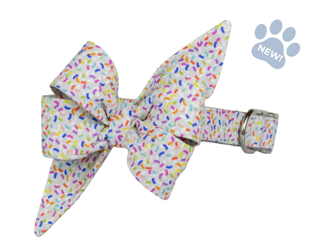 Confetti Pop Belle Bow Collar