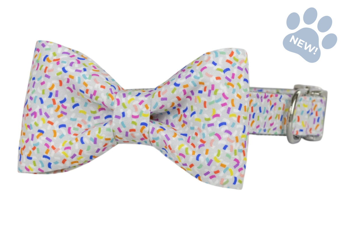 Confetti Pop Bow Tie Collar