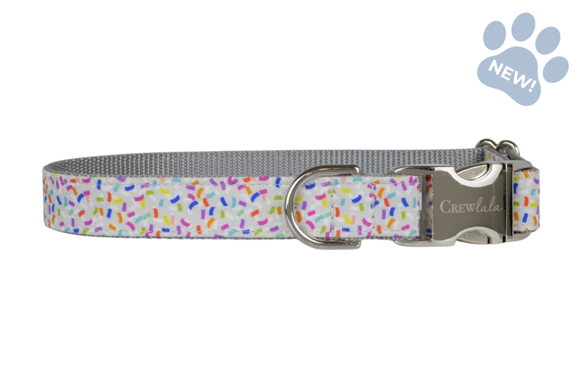 Confetti Pop Dog Collar