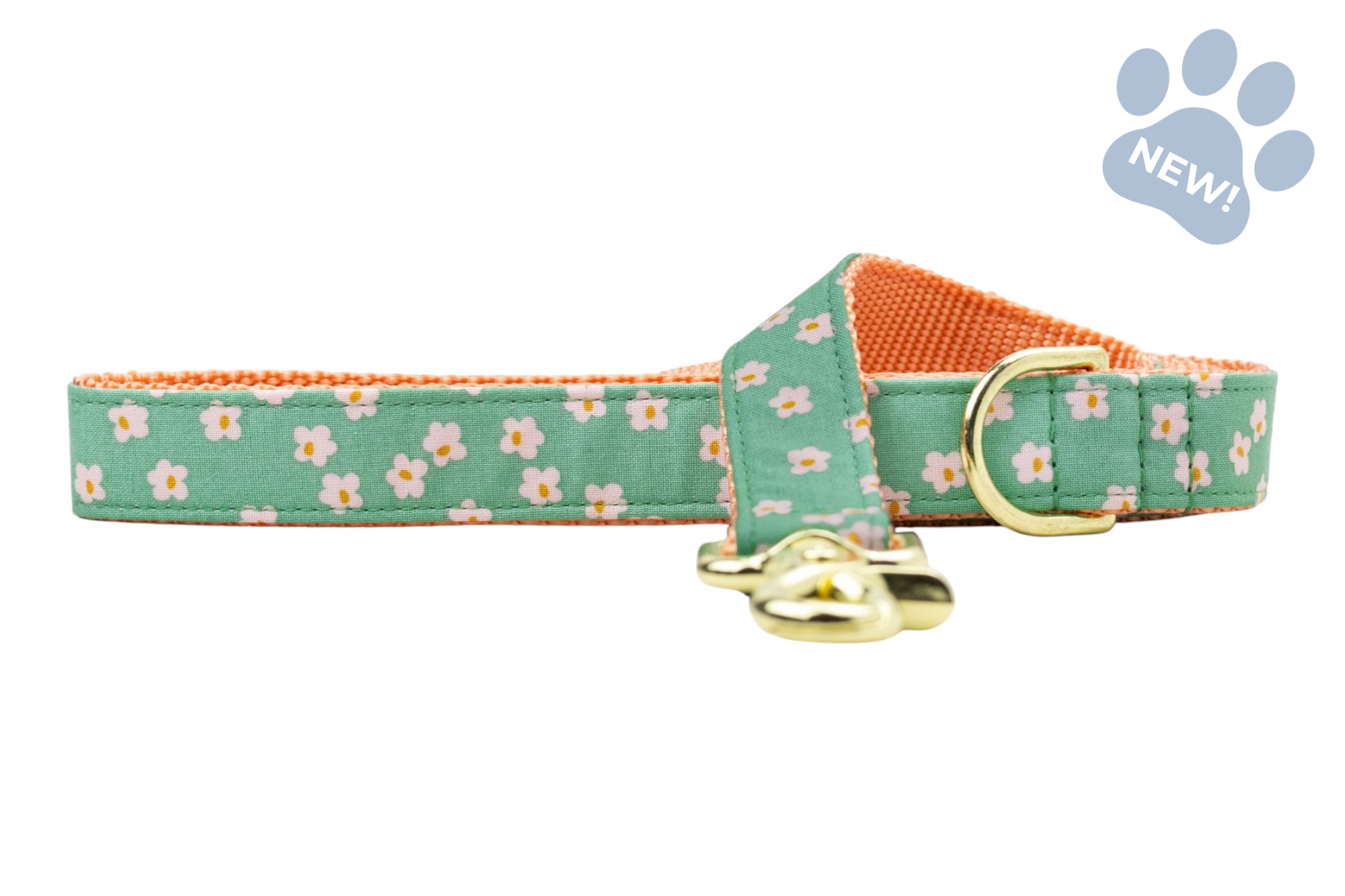 Glinda's Garden Dog Leash - Crew LaLa