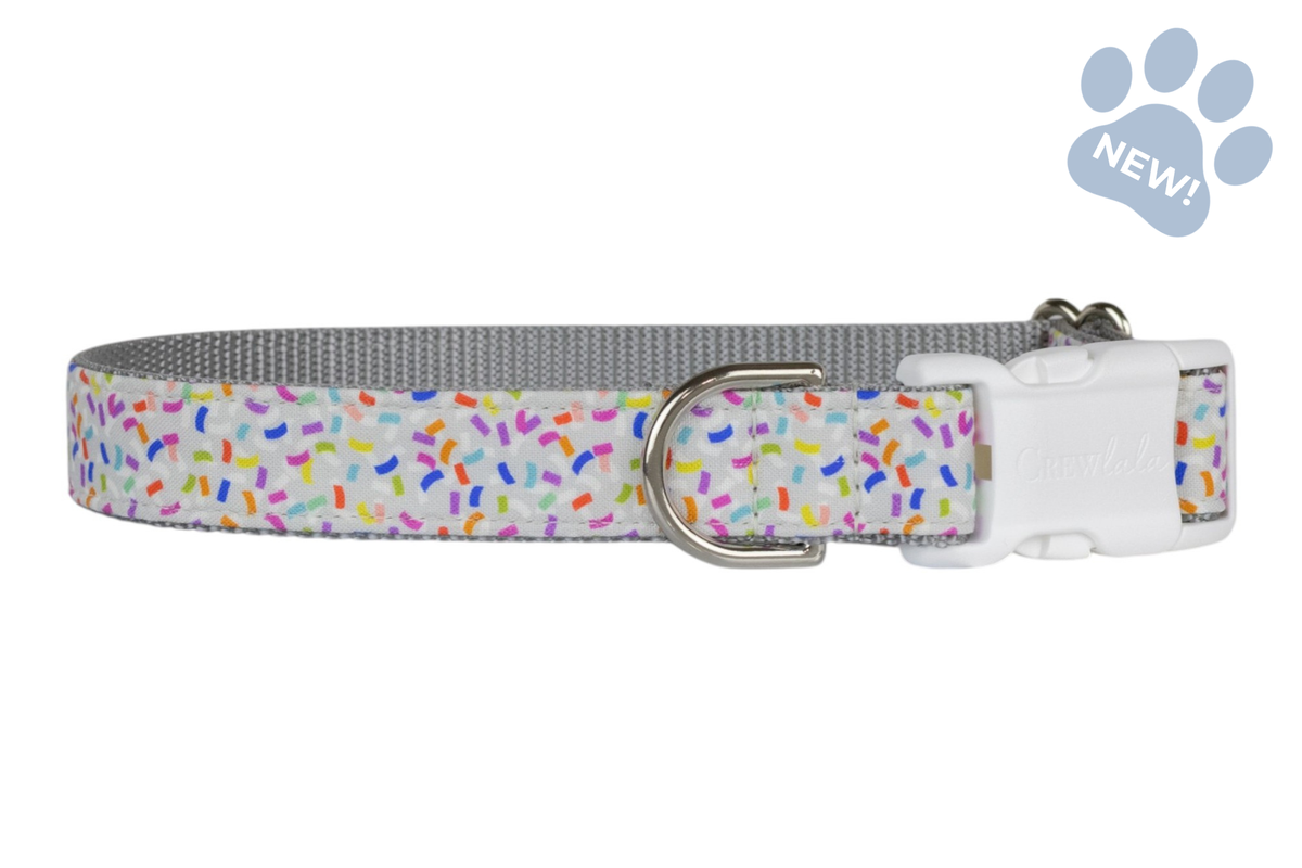 Confetti Pop Dog Collar