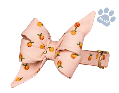 Carolina Peach Belle Bow Collar