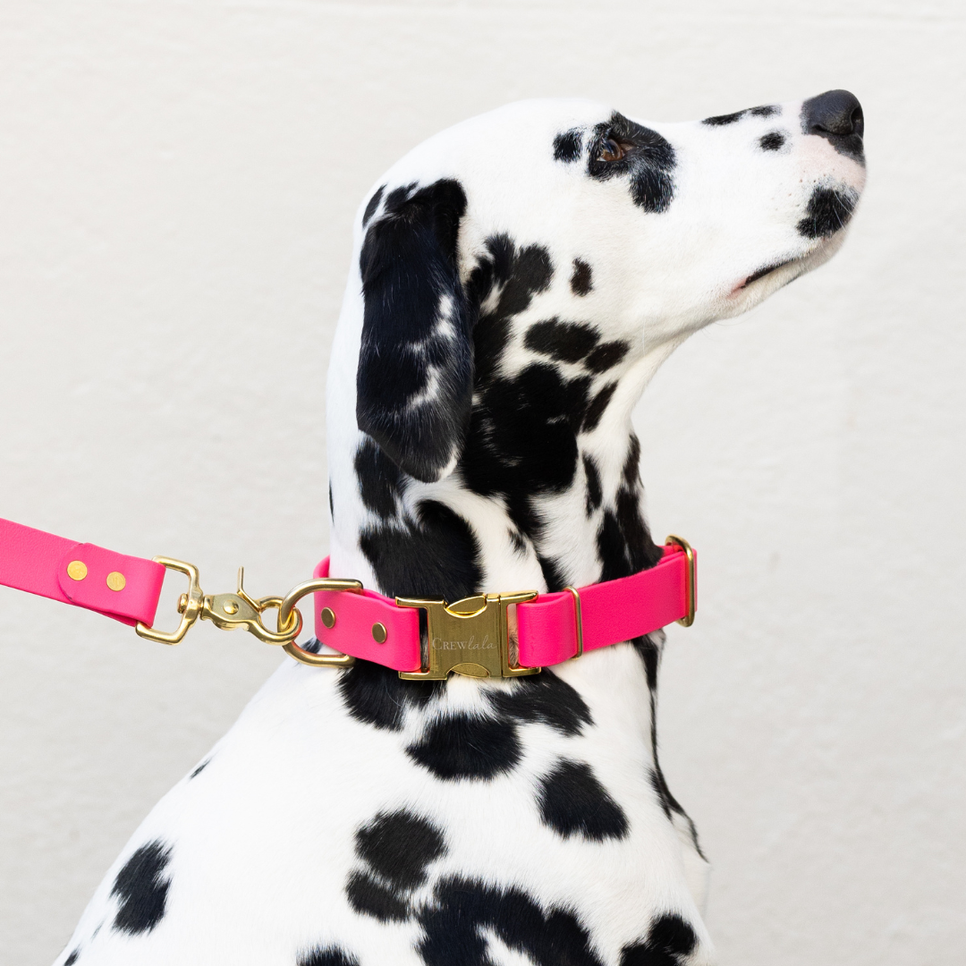 Hot Pink Biothane Collar - Crew LaLa