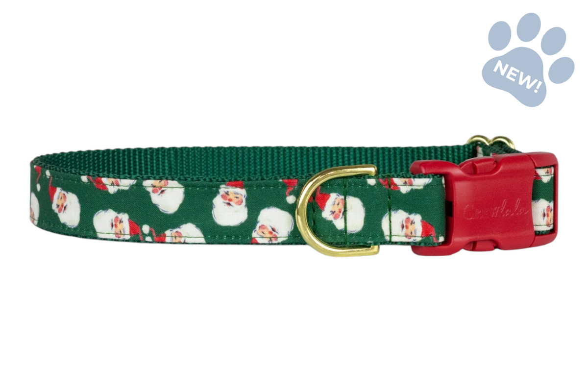 Here Comes Santa! Dog Collar