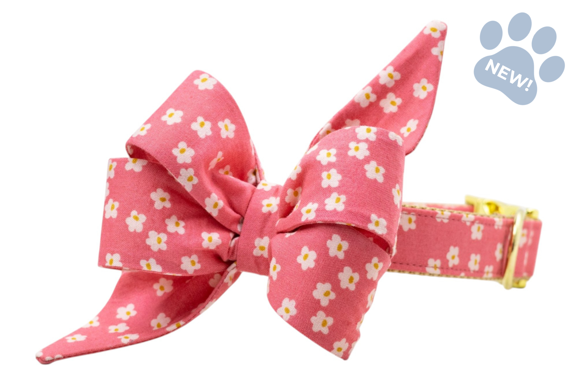 Berry Blooms Belle Bow Collar - Crew LaLa