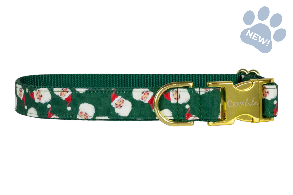 Here Comes Santa! Dog Collar