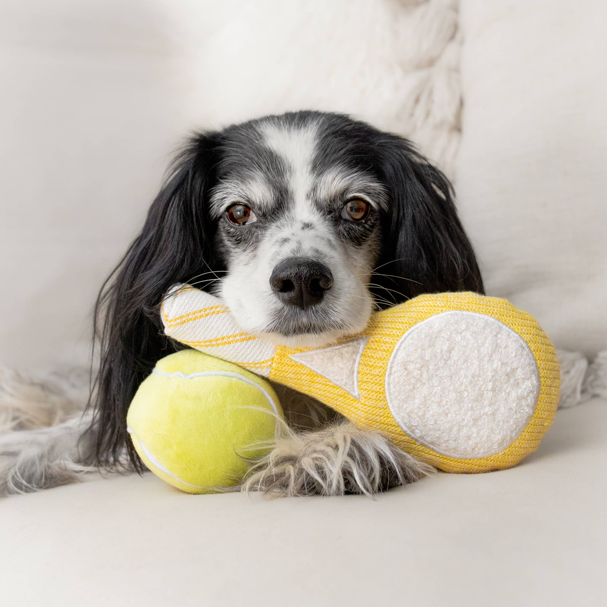 TENNIS POP // ENRICHMENT DOG TOY // Squeaky Ball Set - Crew LaLa