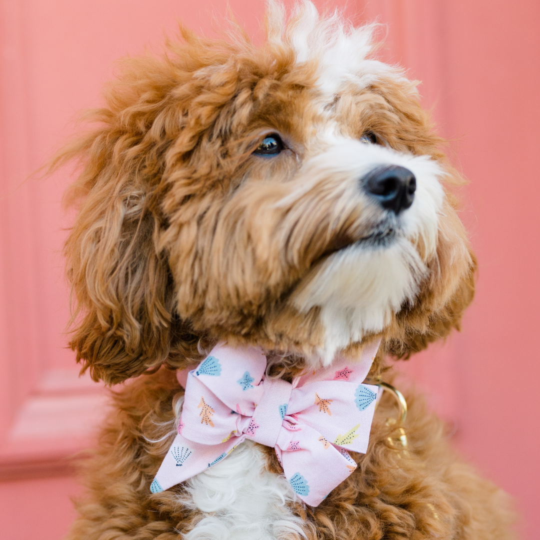 Pink Beach Belle Bow Collar - Crew LaLa