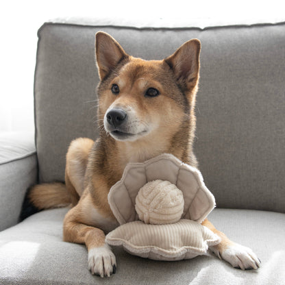 OYSTER POP // ENRICHMENT DOG TOY // Squeaky Ball - Crew LaLa