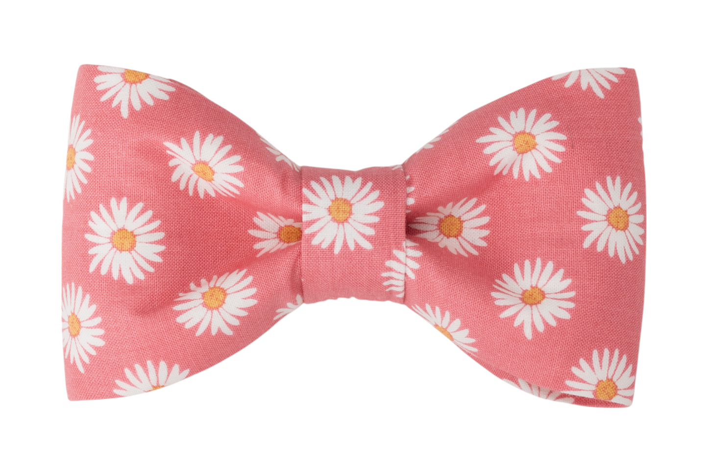 Daisy Crazy Dog Bow Tie