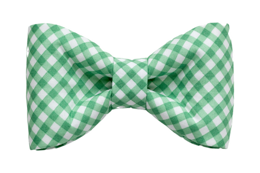 Garden Lattice Dog Bow Tie - Crew LaLa