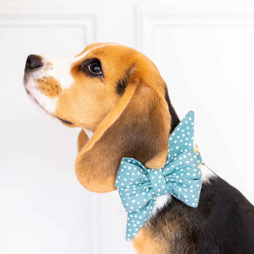 Sage Spots Belle Bow Dog Collar