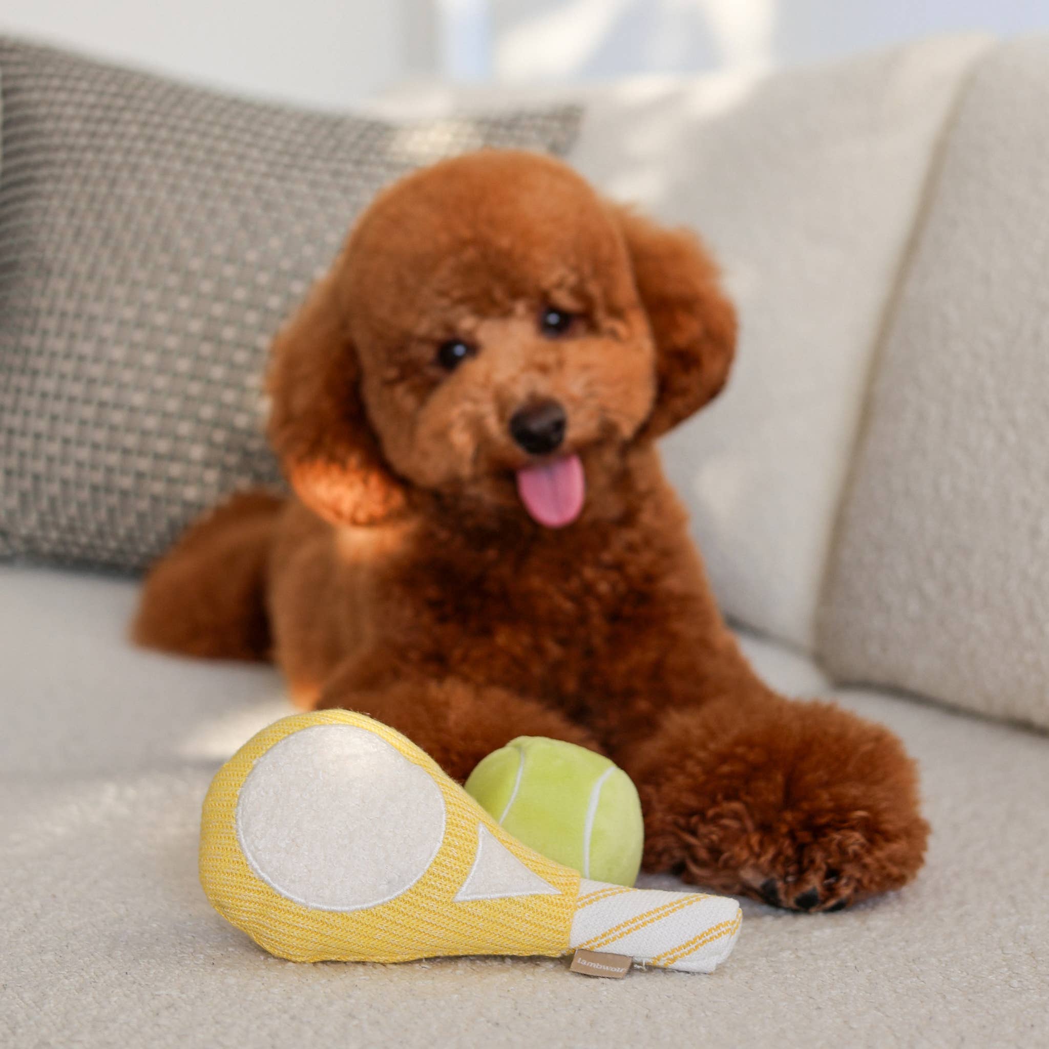 TENNIS POP // ENRICHMENT DOG TOY // Squeaky Ball Set - Crew LaLa