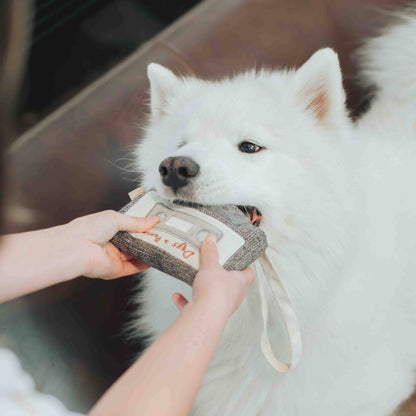CASSETTE // ENRICHMENT DOG TOY // SNUFFLE TOY - Crew LaLa