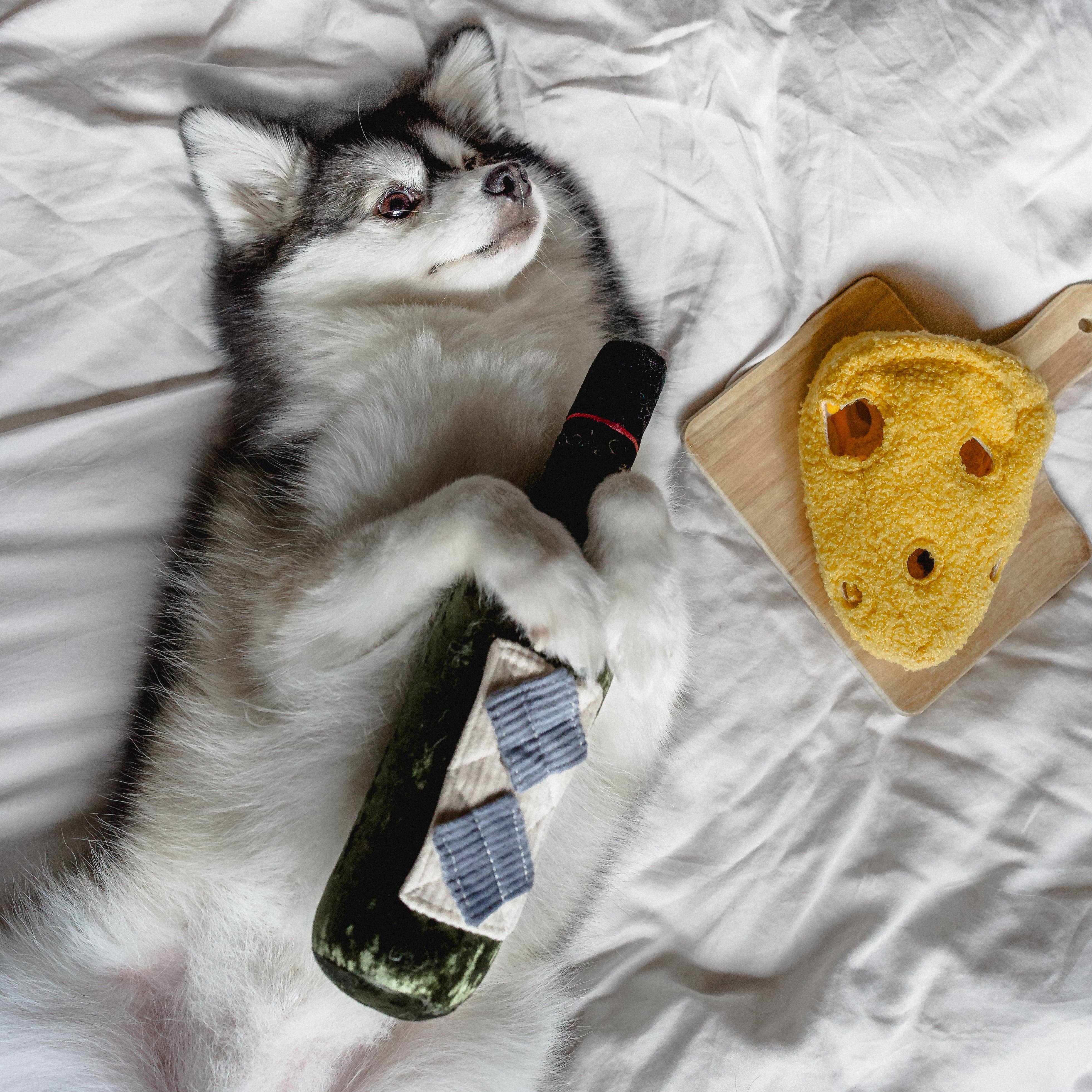 FROMAGE // ENRICHMENT DOG TOY // SNUFFLE TOY - Crew LaLa