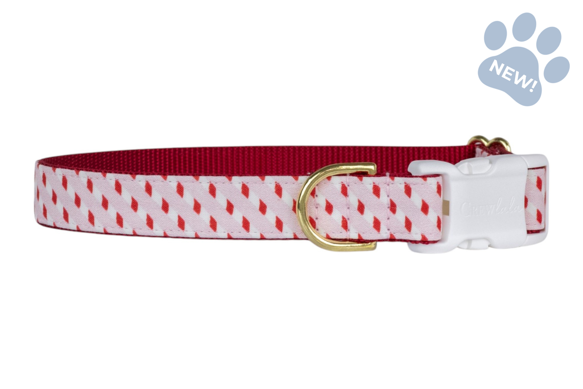 Pink Candy Cane Stripe Dog Collar